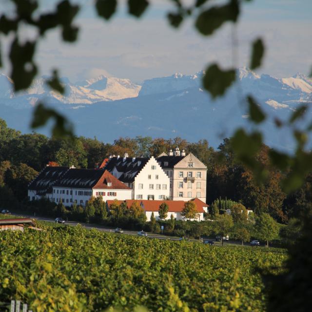 Bodenseehotel Renn in Hagnau • Renn